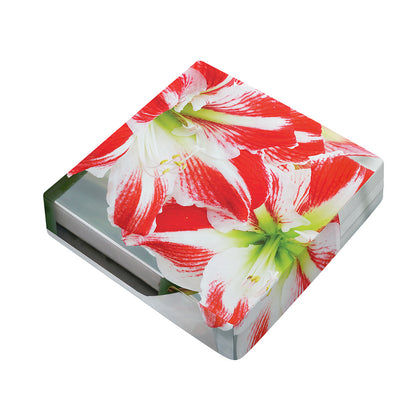 Red And White Amaryllis Print Outdoor Seat Cushion Cover