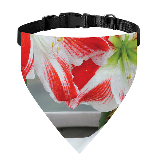 Red And White Amaryllis Print Over The Collar Dog Bandana