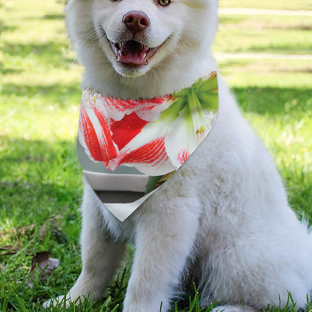 Red And White Amaryllis Print Over The Collar Dog Bandana