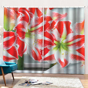 Red And White Amaryllis Print Pencil Pleat Curtains