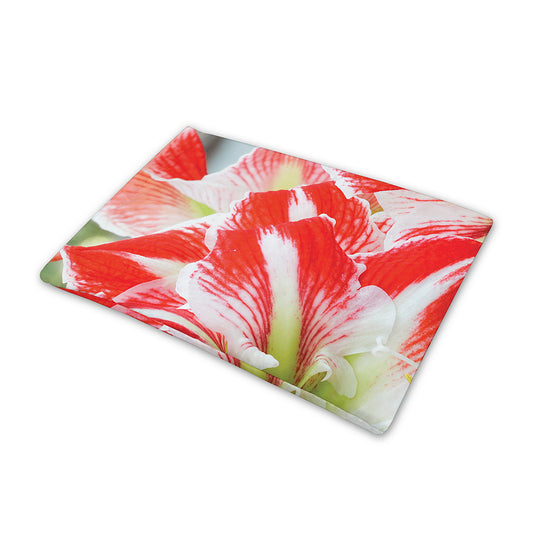 Red And White Amaryllis Print Pet Cooling Mat Cover