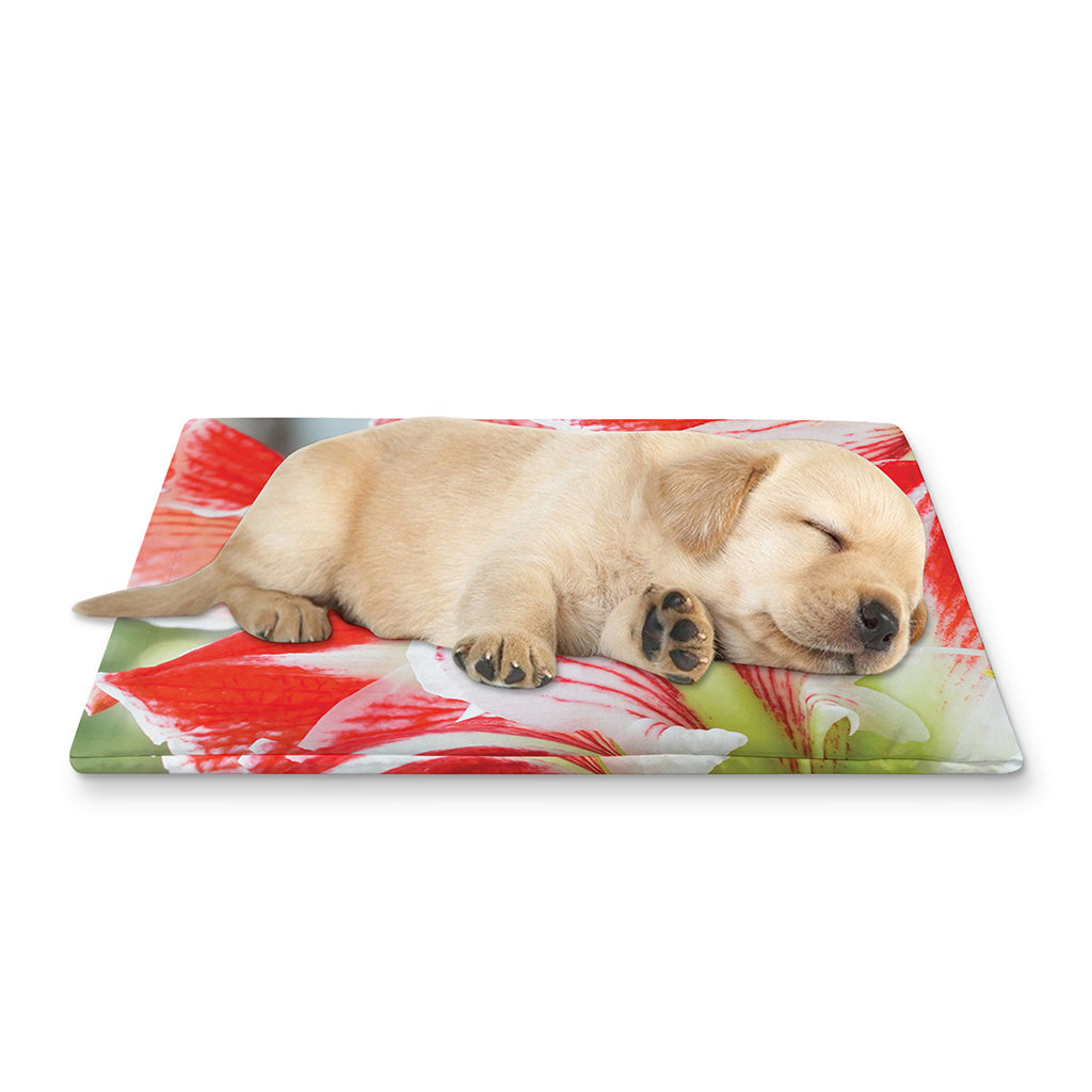Red And White Amaryllis Print Pet Cooling Mat Cover