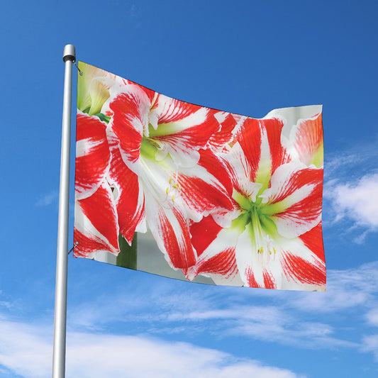 Red And White Amaryllis Print Polyester Flag