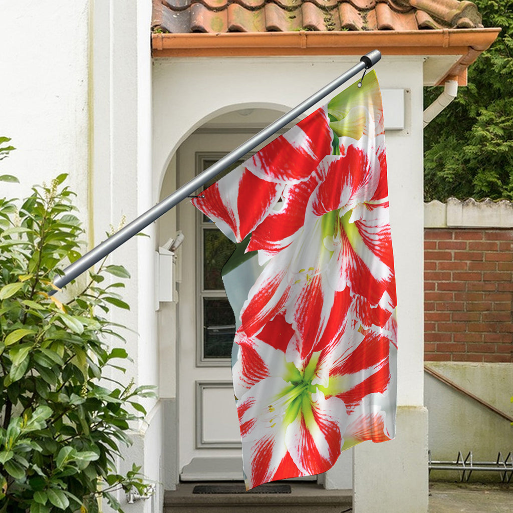 Red And White Amaryllis Print Polyester Flag