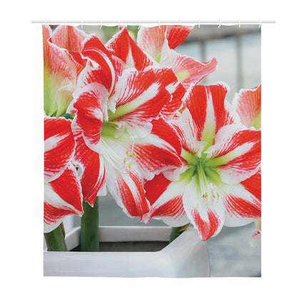 Red And White Amaryllis Print Polyester Shower Curtain