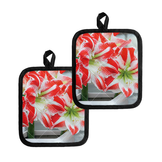 Red And White Amaryllis Print Pot Holders