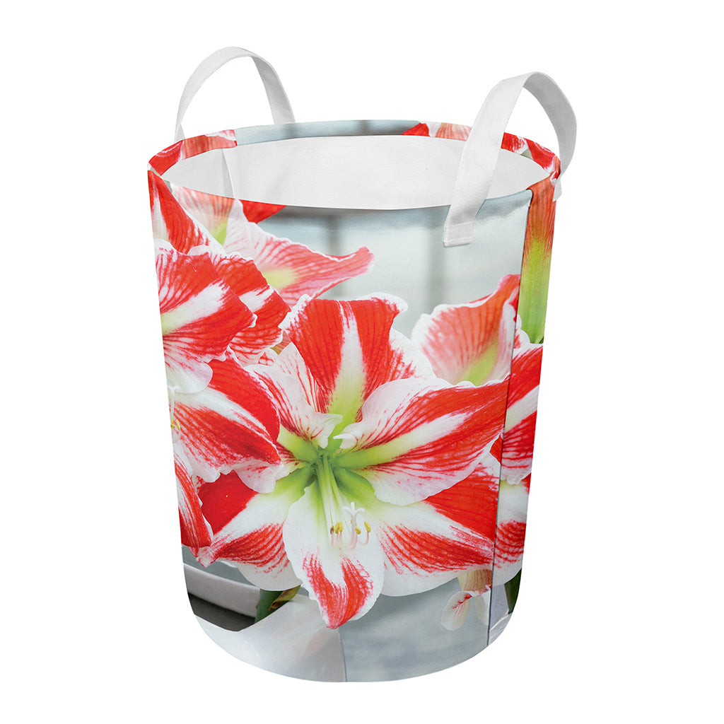 Red And White Amaryllis Print Round Laundry Basket