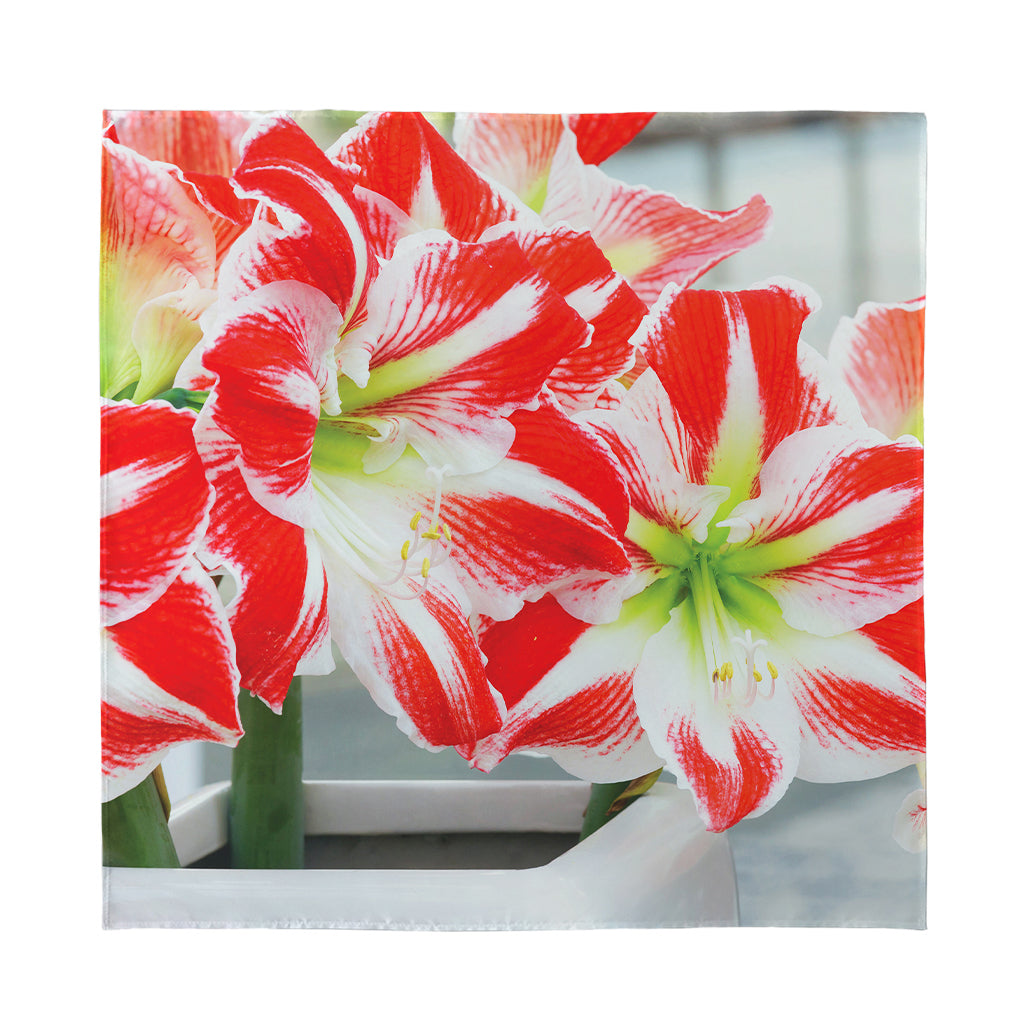 Red And White Amaryllis Print Silk Bandana