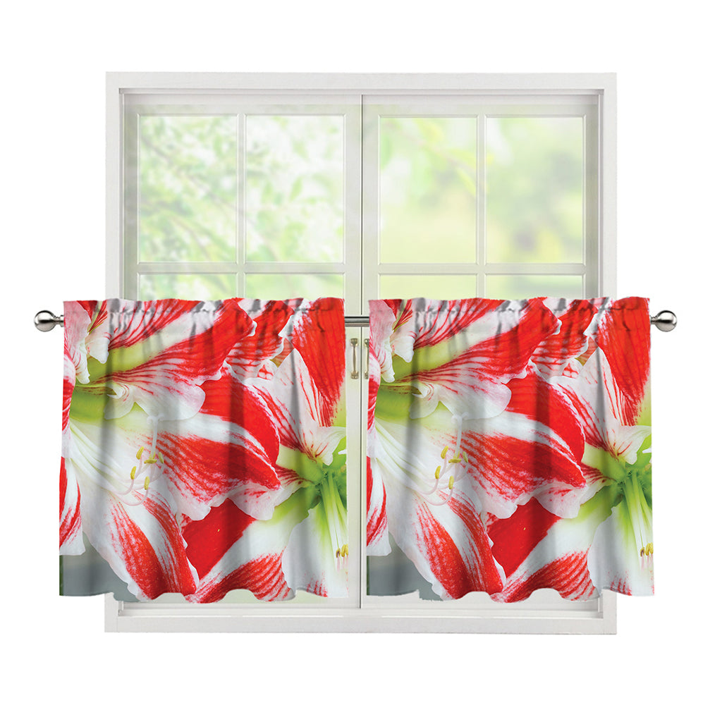 Red And White Amaryllis Print Tier Curtains