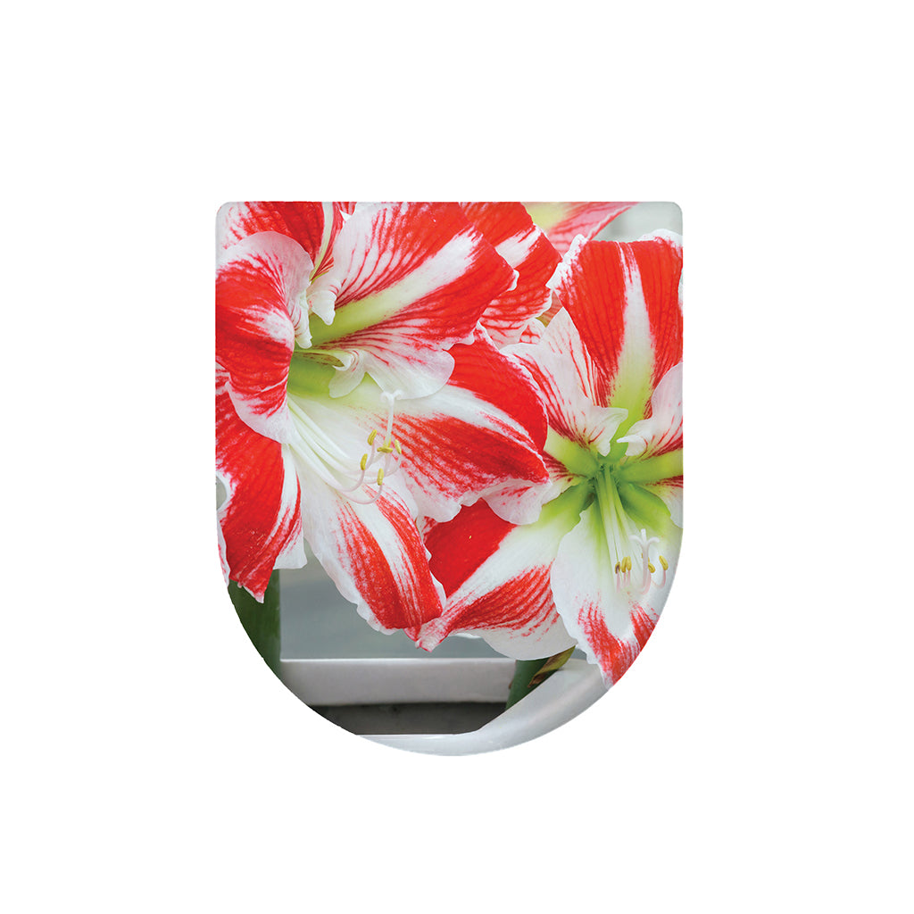 Red And White Amaryllis Print Toilet Lid Cover