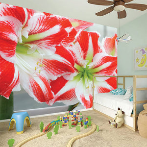 Red And White Amaryllis Print Wall Sticker