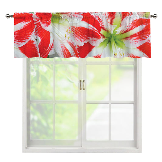 Red And White Amaryllis Print Window Valance