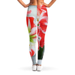 Red And White Amaryllis Print Women's Leggings