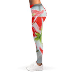 Red And White Amaryllis Print Women's Leggings