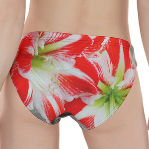 Red And White Amaryllis Print Women's Panties