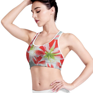 Red And White Amaryllis Print Women's Sports Bra