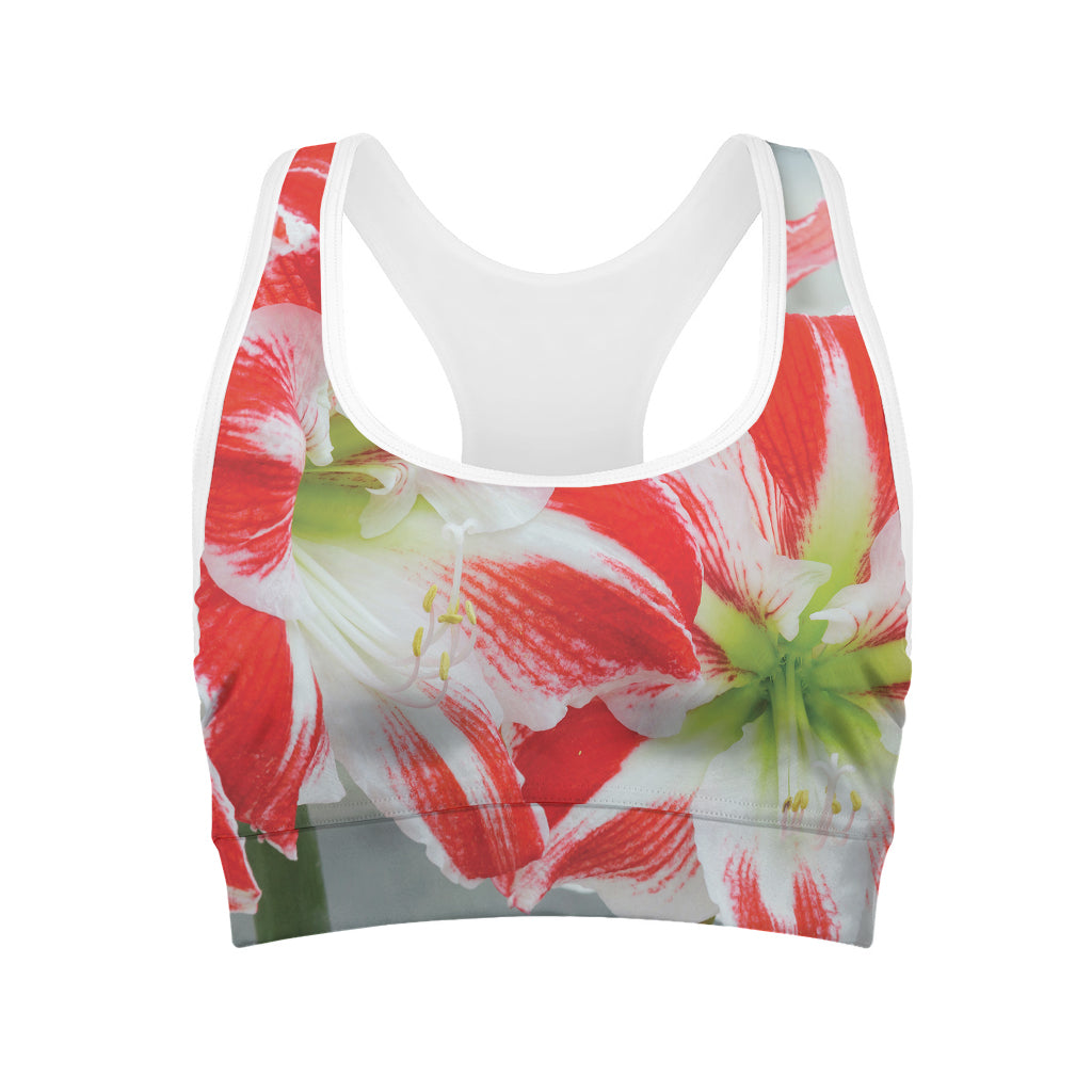 Red And White Amaryllis Print Women's Sports Bra