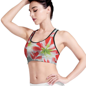 Red And White Amaryllis Print Women's Sports Bra