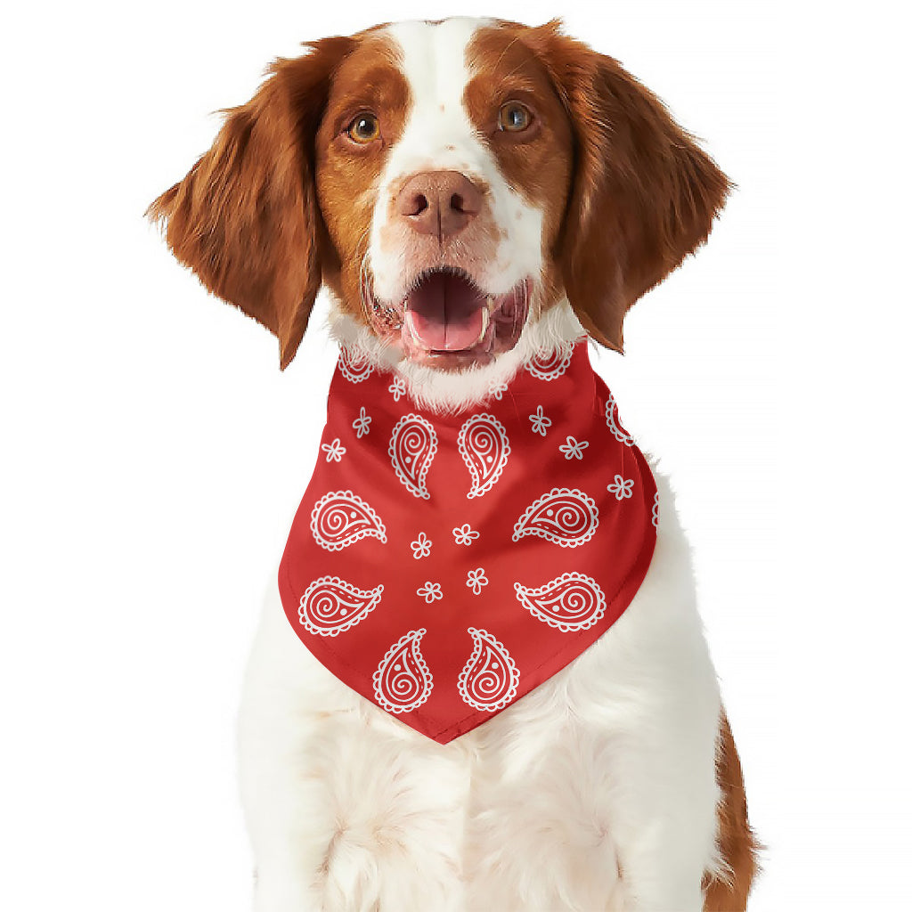 Red And White Bandana Print Dog Bandana