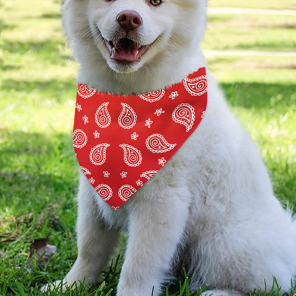 Red And White Bandana Print Over The Collar Dog Bandana