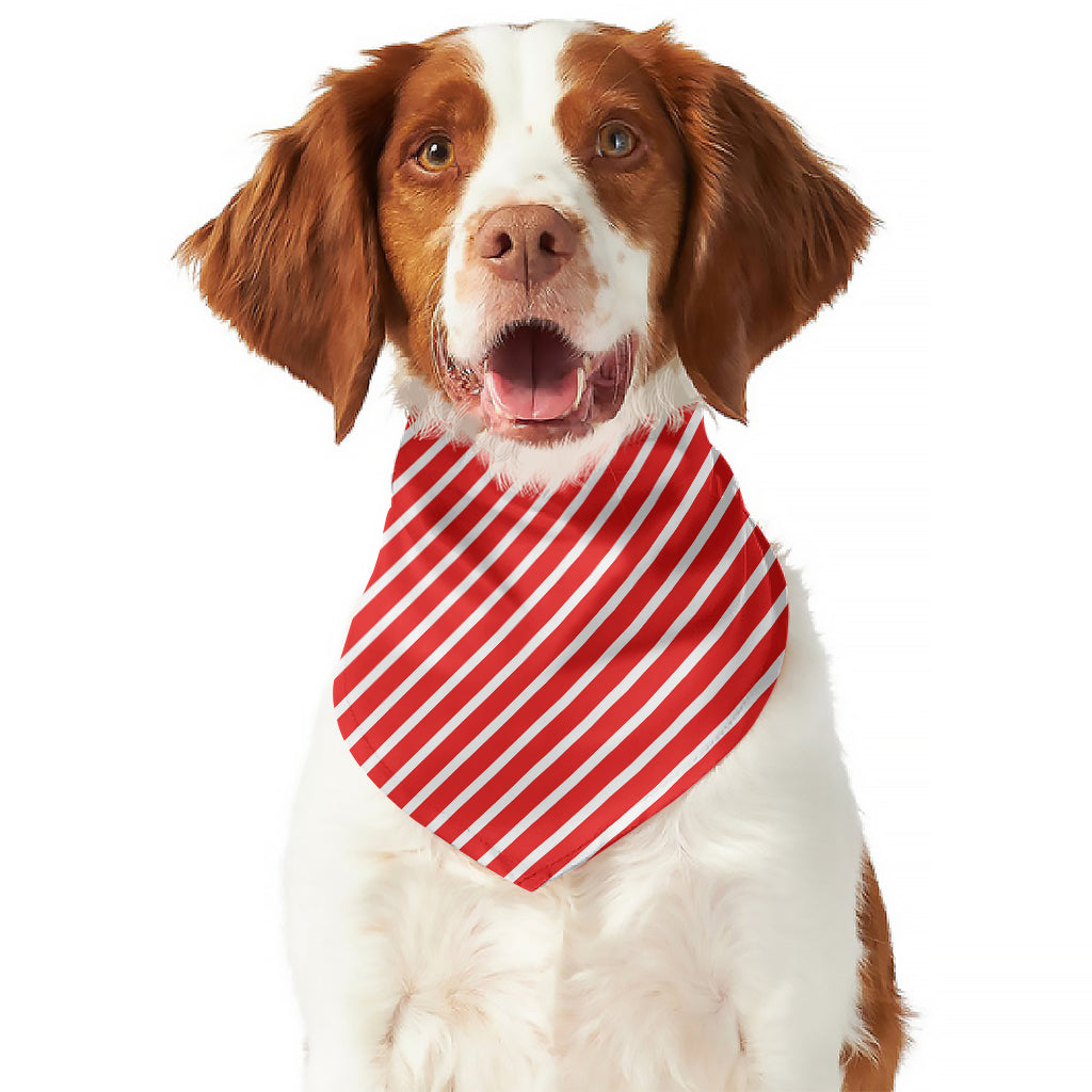 Red And White Candy Cane Pattern Print Dog Bandana