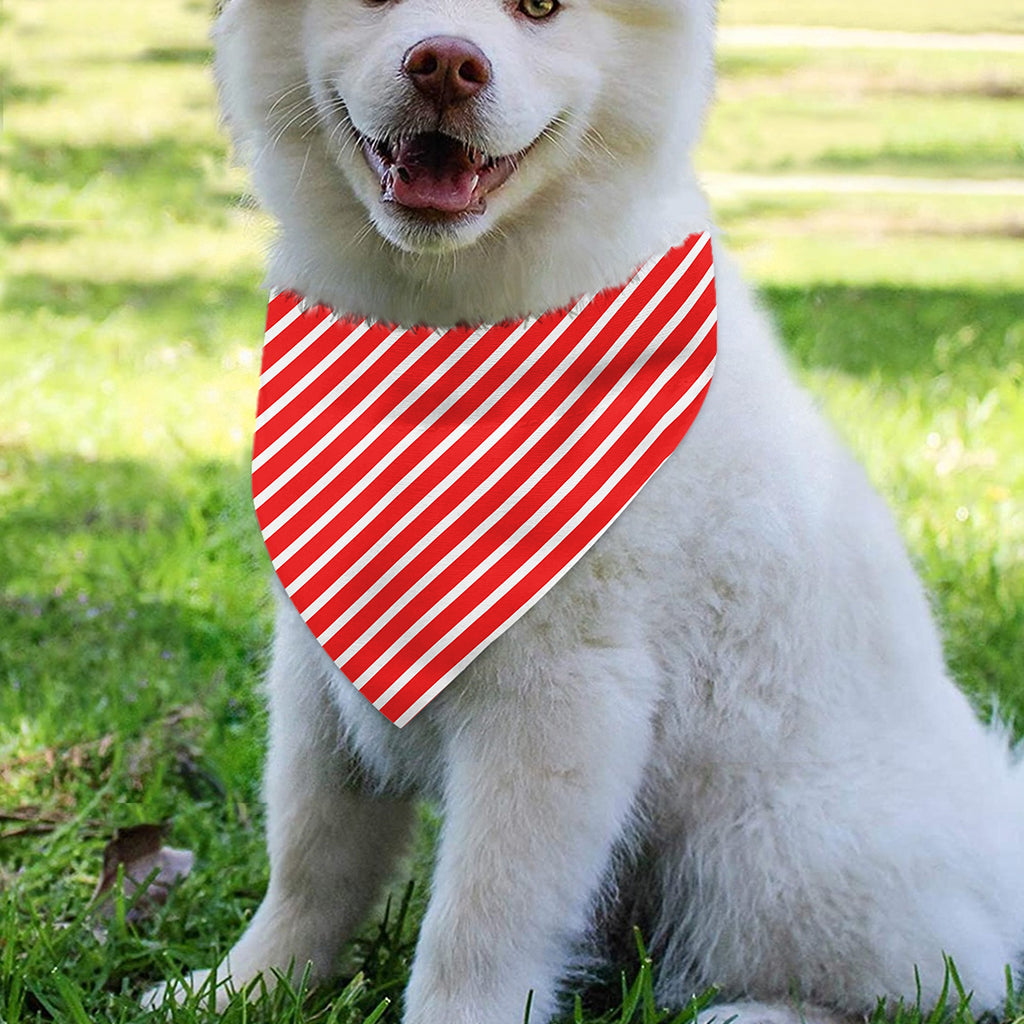 Red And White Candy Cane Pattern Print Over The Collar Dog Bandana
