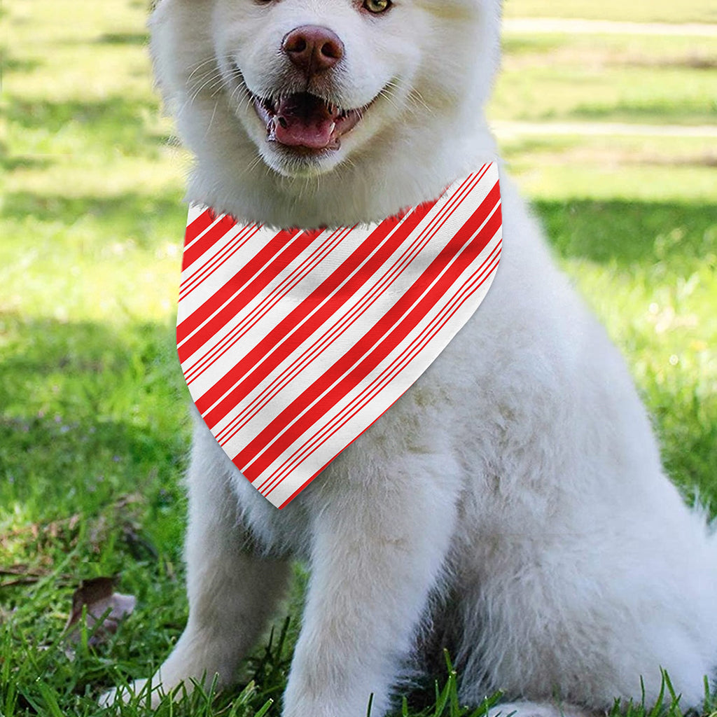 Red And White Candy Cane Stripe Print Over The Collar Dog Bandana