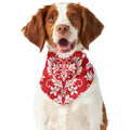 Red And White Damask Pattern Print Dog Bandana