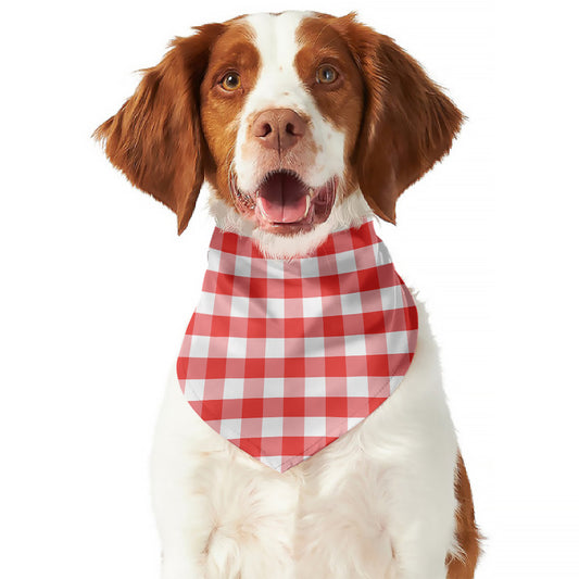 Red And White Gingham Pattern Print Dog Bandana