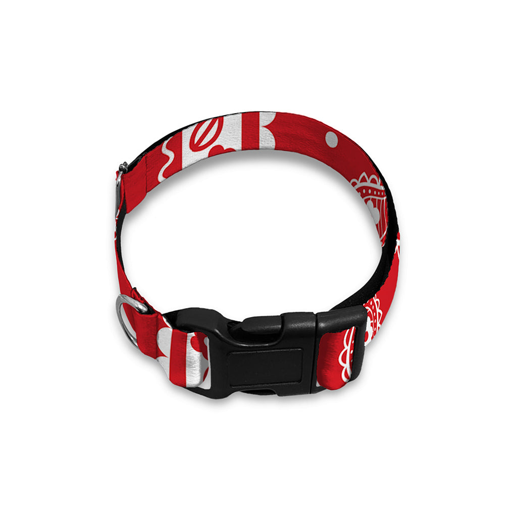 Red And White Paisley Bandana Print Dog Collar