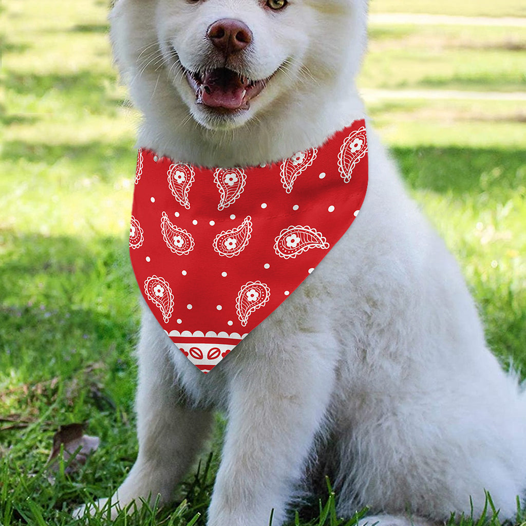 Red And White Paisley Bandana Print Over The Collar Dog Bandana