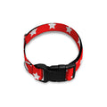 Red And White Star Pattern Print Dog Collar