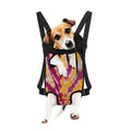 Red And Yellow Spider Tie Dye Print Pet Carrier Backpack