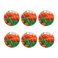 Red And Yellow Tulip Print Coaster Set