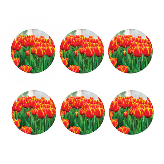 Red And Yellow Tulip Print Coaster Set
