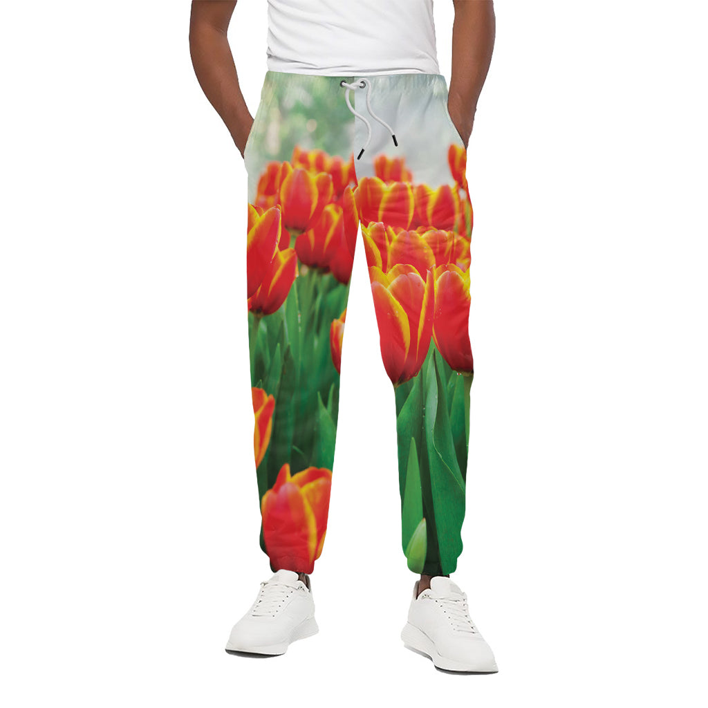 Red And Yellow Tulip Print Cotton Pants
