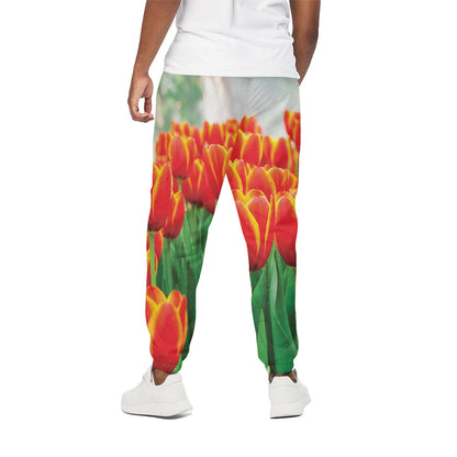 Red And Yellow Tulip Print Cotton Pants