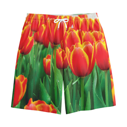 Red And Yellow Tulip Print Cotton Shorts