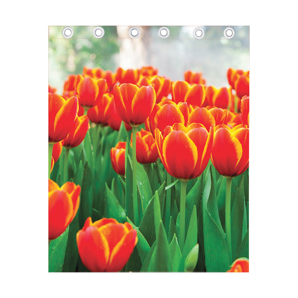 Red And Yellow Tulip Print Curtain