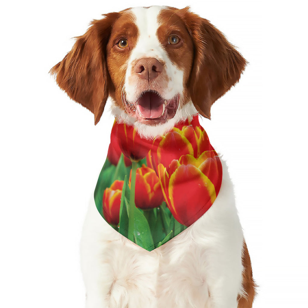 Red And Yellow Tulip Print Dog Bandana