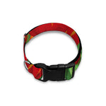 Red And Yellow Tulip Print Dog Collar