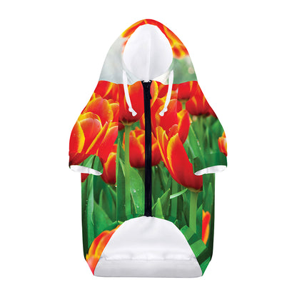 Red And Yellow Tulip Print Dog Zip Up Hoodie