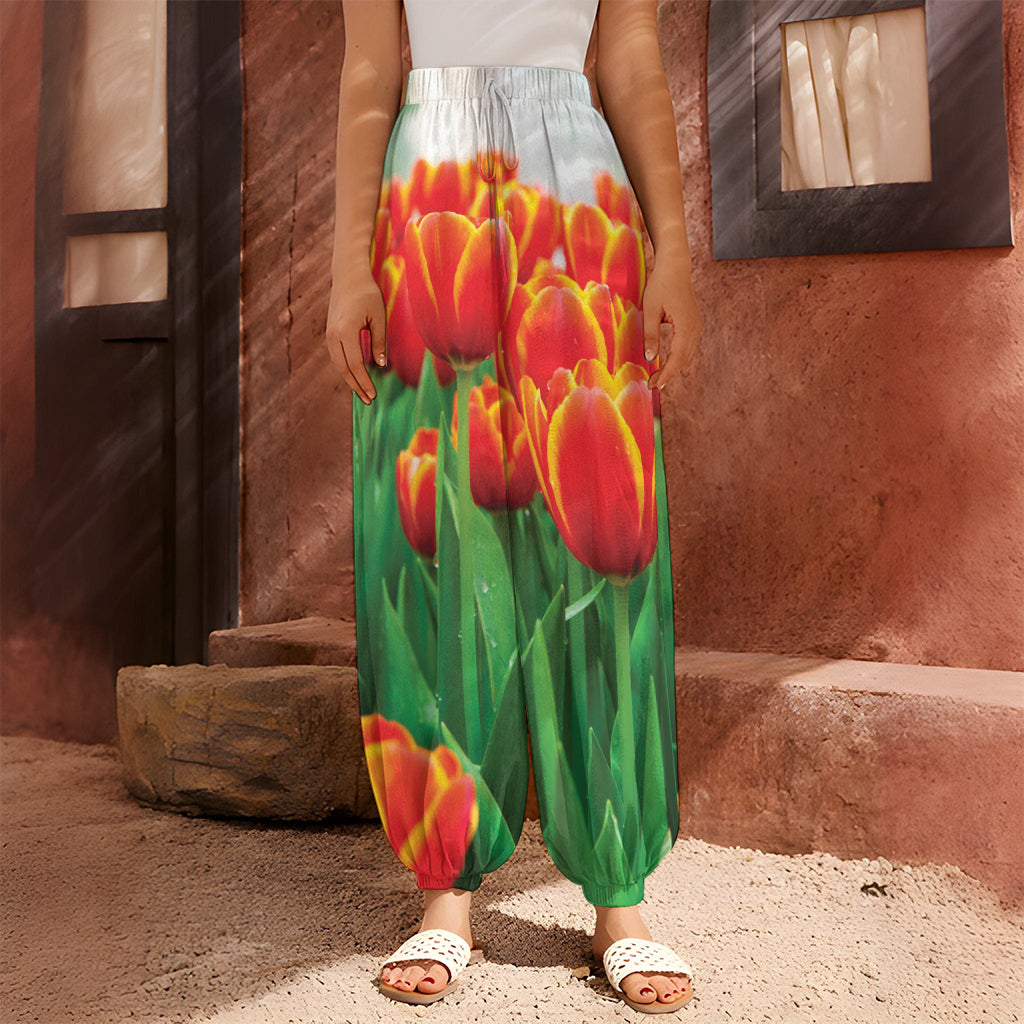 Red And Yellow Tulip Print Harem Pants