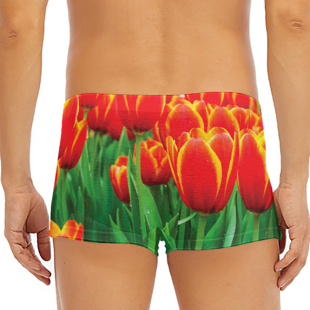 Red And Yellow Tulip Print Men's Short Boxer Briefs