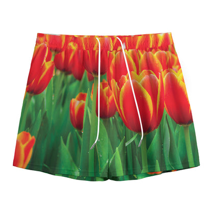 Red And Yellow Tulip Print Mesh Shorts