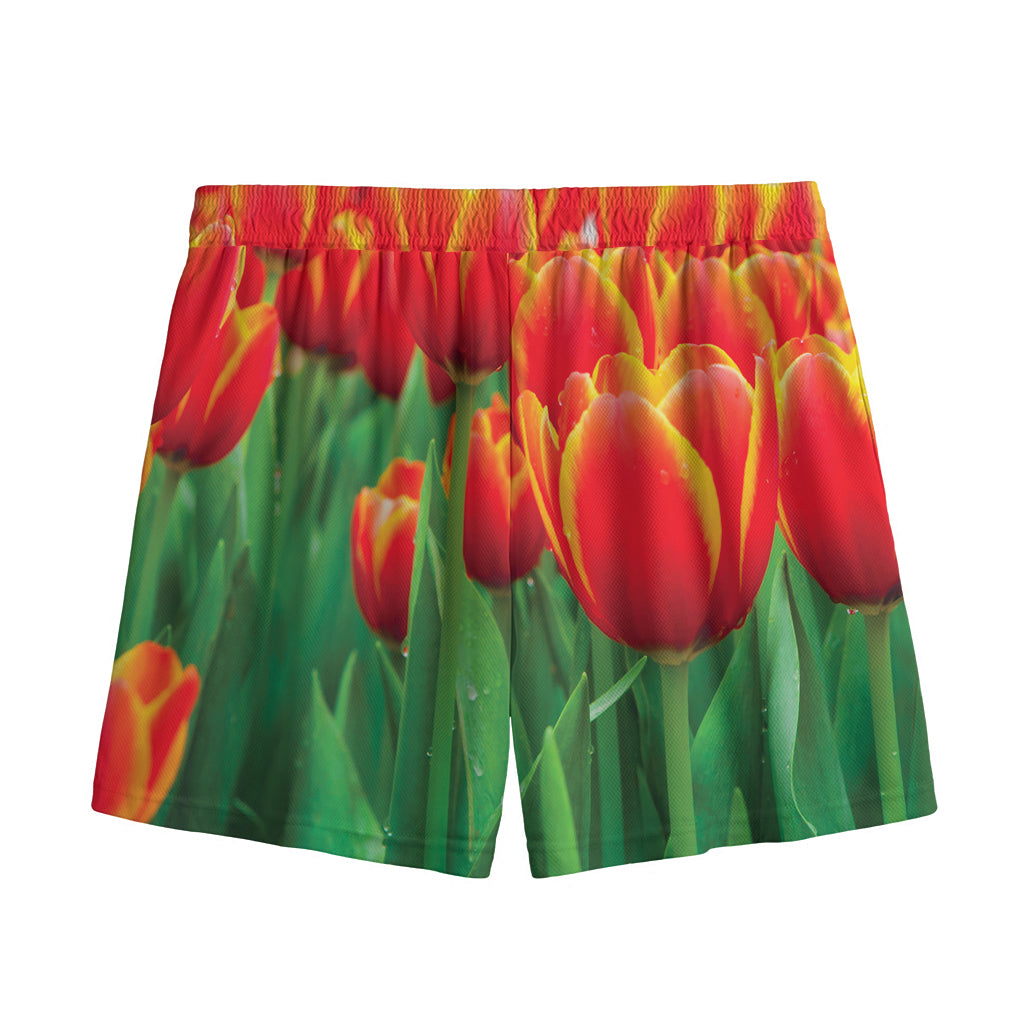 Red And Yellow Tulip Print Mesh Shorts