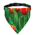 Red And Yellow Tulip Print Over The Collar Dog Bandana