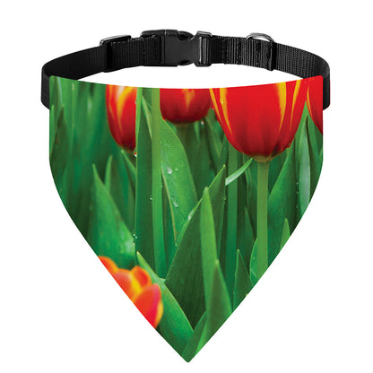 Red And Yellow Tulip Print Over The Collar Dog Bandana