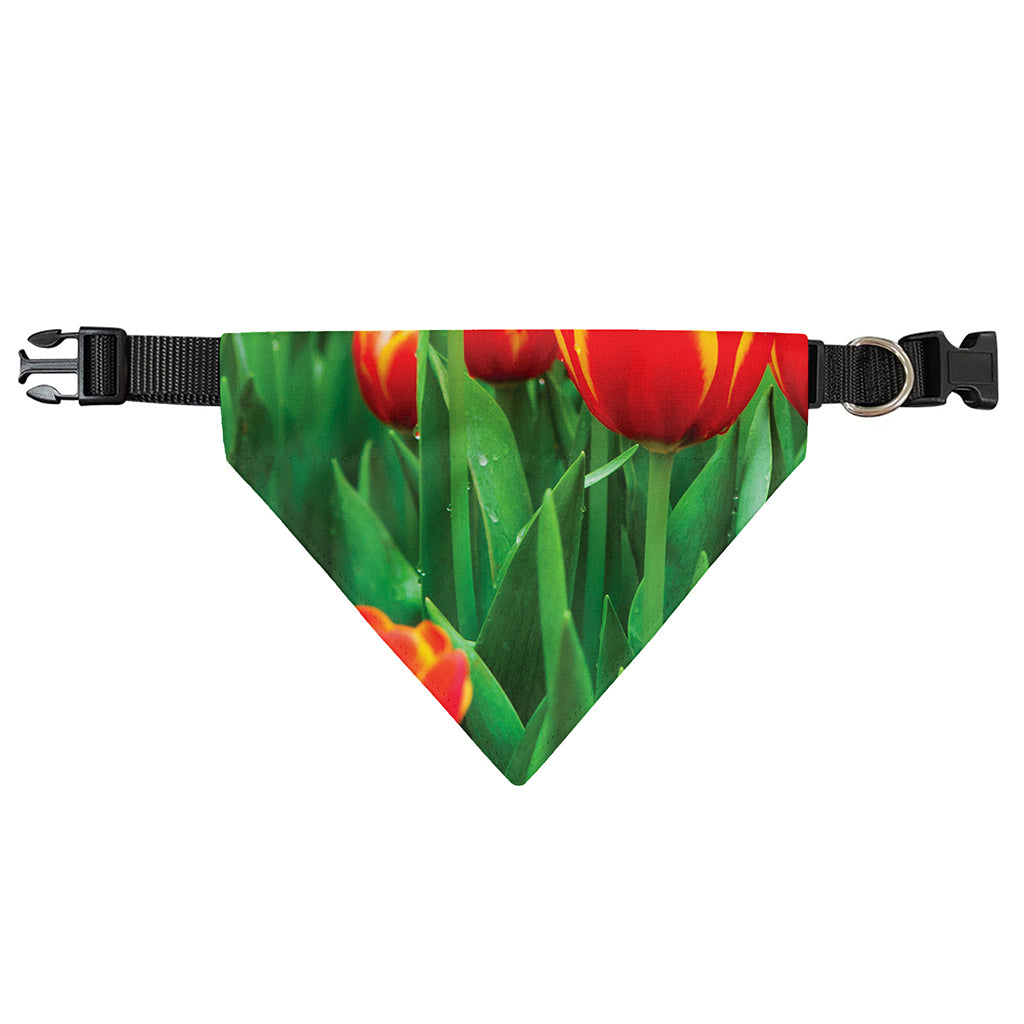 Red And Yellow Tulip Print Over The Collar Dog Bandana