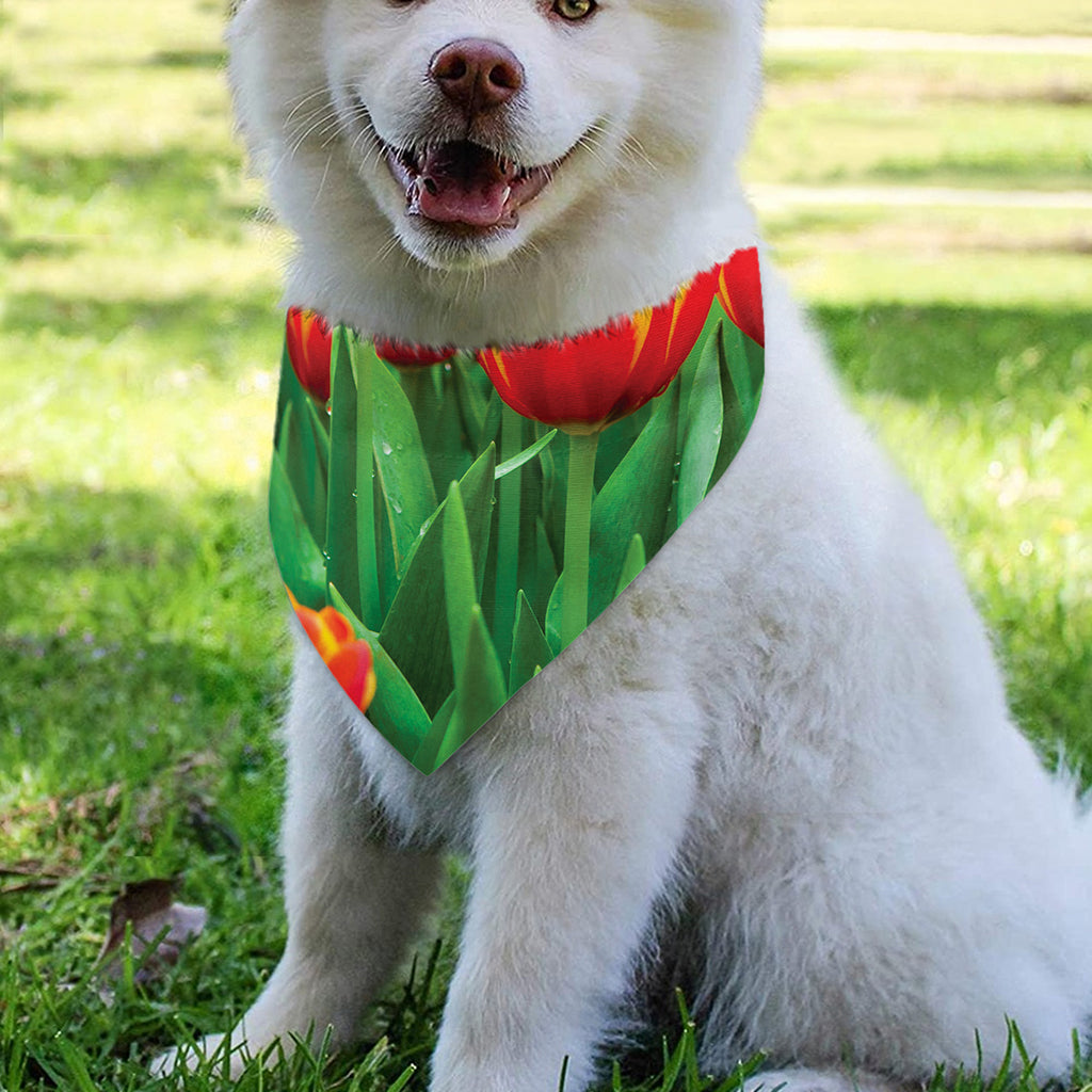Red And Yellow Tulip Print Over The Collar Dog Bandana